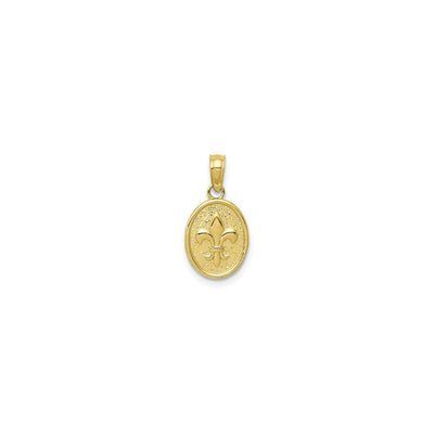 Fleur De Lis Oval Medallion Pendant (14K) front - Lucky Diamond - New York