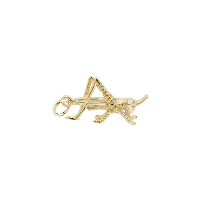 Grasshopper Charm yellow (14K) main - Lucky Diamond - New York