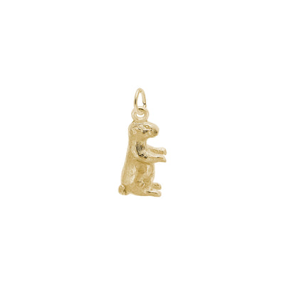 Groundhog Charm yellow (14K) main - Lucky Diamond - New York