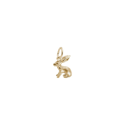 Hare Pendant (14K) Lucky Diamond - New York