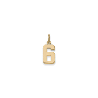 Varsity Number 6 Pendant (14K) front - Lucky Diamond - New York