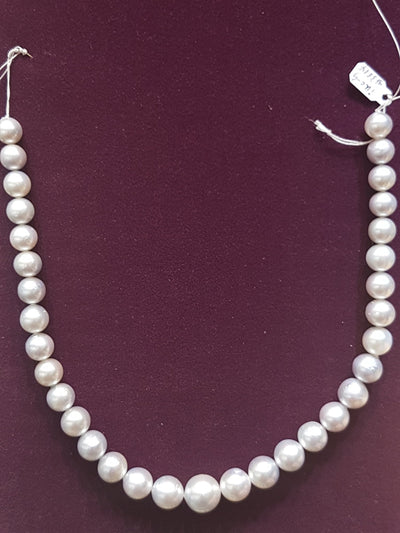 Southsea Pearl Necklace (11-16 mm) - Lucky Diamond 恆福珠寶金行 New York City 169 Canal Street 10013 Jewelry store Playboi Charlie Chinatown @luckydiamondny 2124311180