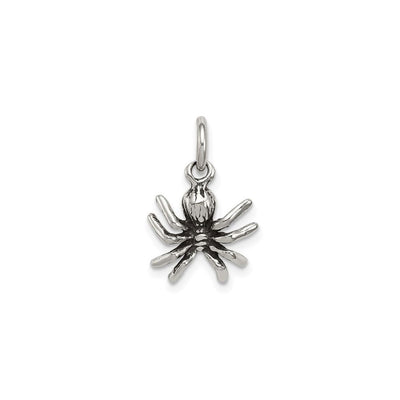 Antiqued Spider Charm (Silver) front - Lucky Diamond - New York