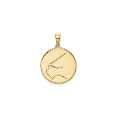 Aquarius Zodiac Constellation Medal (Silver) front - Lucky Diamond - New York